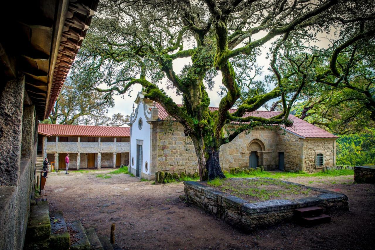 Casa Da Vila Cerveira Вила-Нова-ди-Сервейра Экстерьер фото